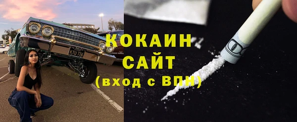 ПСИЛОЦИБИНОВЫЕ ГРИБЫ Каменка