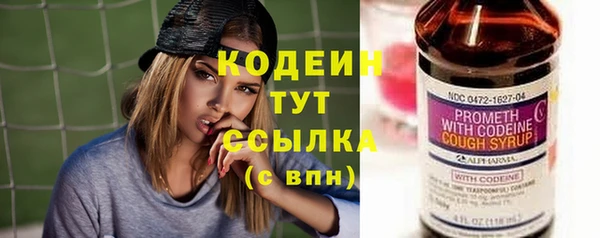 ПСИЛОЦИБИНОВЫЕ ГРИБЫ Каменка