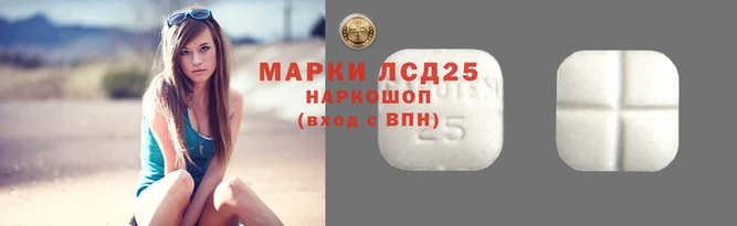ПСИЛОЦИБИНОВЫЕ ГРИБЫ Каменка
