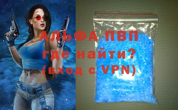 ПСИЛОЦИБИНОВЫЕ ГРИБЫ Каменка