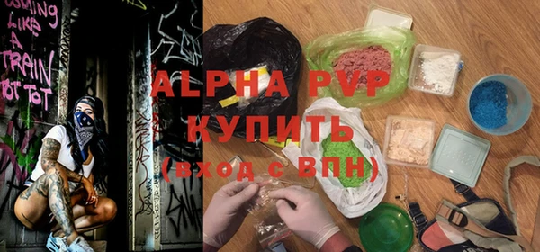 ПСИЛОЦИБИНОВЫЕ ГРИБЫ Каменка