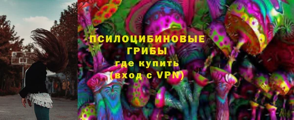 гашик Каменск-Шахтинский