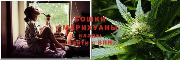 ПСИЛОЦИБИНОВЫЕ ГРИБЫ Каменка