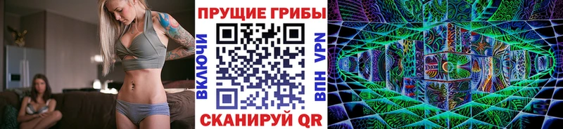 Галлюциногенные грибы мицелий Купить закладки Дмитриев